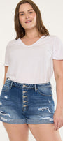 Lyric Ultra High Rise Shorts (Plus Size)