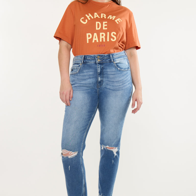 Damila High Rise Slim Straight Jeans (Plus Size)