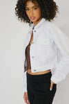 Francis Cropped Jacket - Official Kancan USA