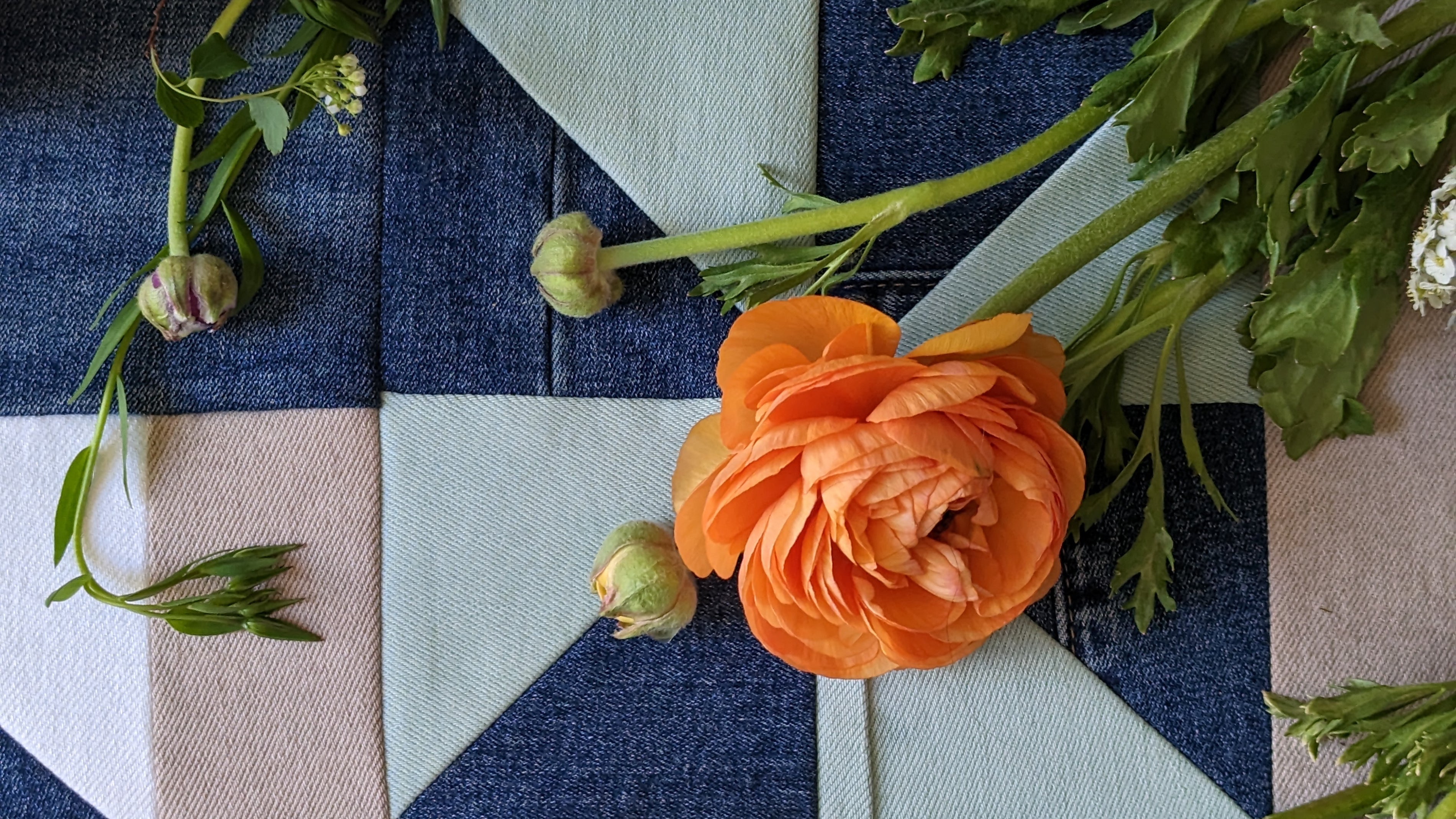 Maris Kaplan X KanCan