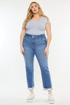 Esme Essentials High Rise Slim Straight Leg Jeans (Plus Size)