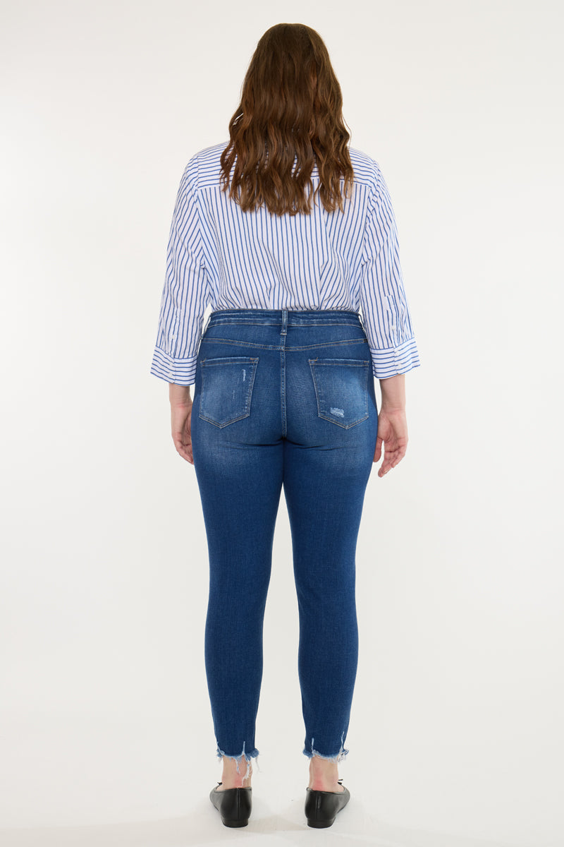 Alexia High Rise Ankle Skinny Jeans (Plus Size)
