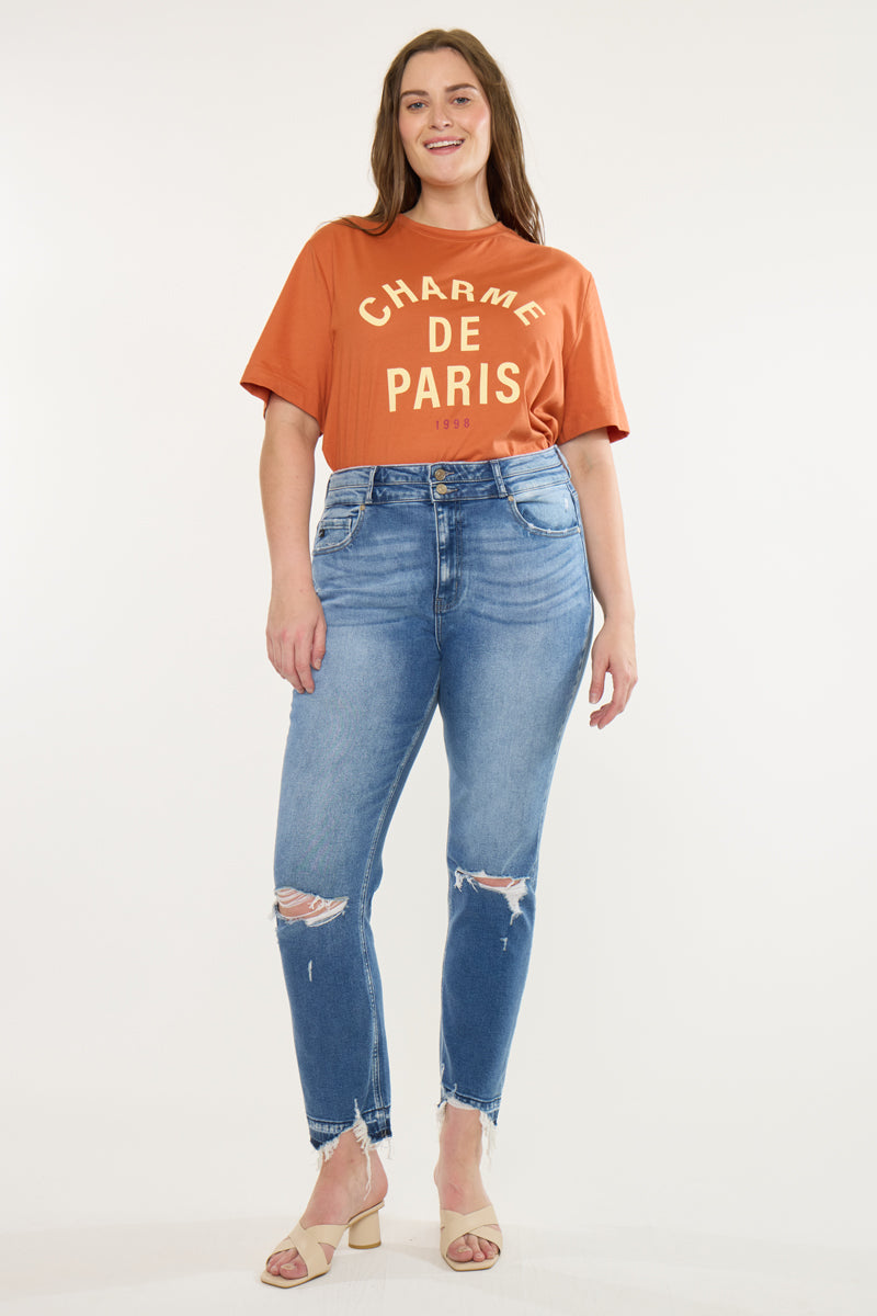 Damila High Rise Slim Straight Jeans (Plus Size)