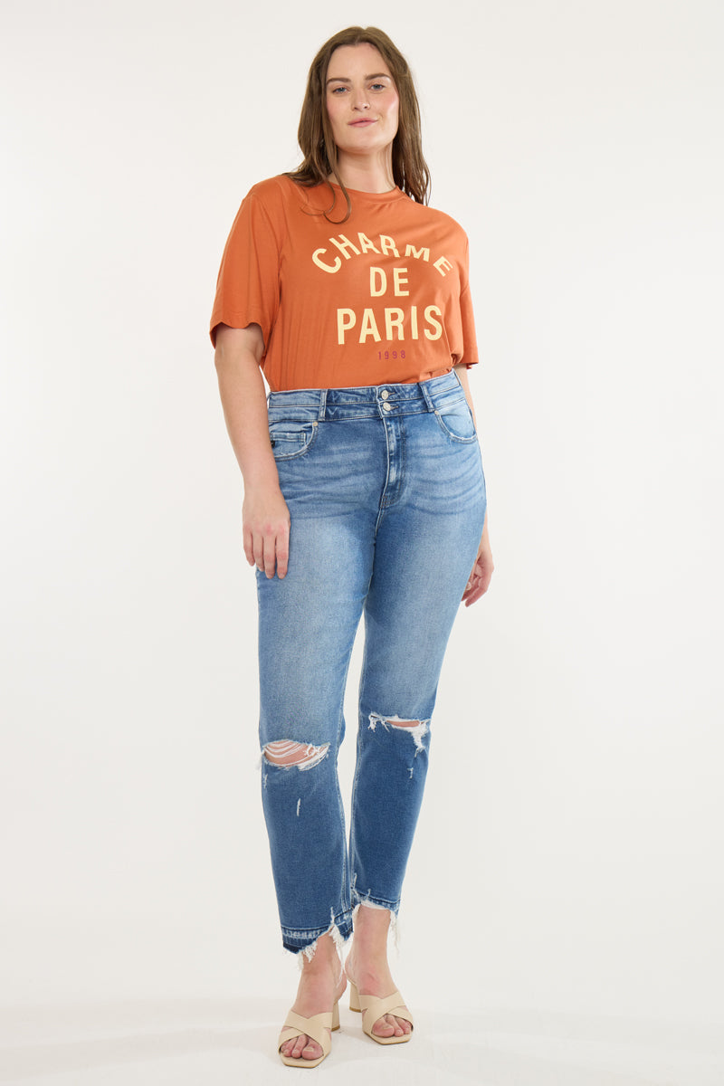 Damila High Rise Slim Straight Jeans (Plus Size)