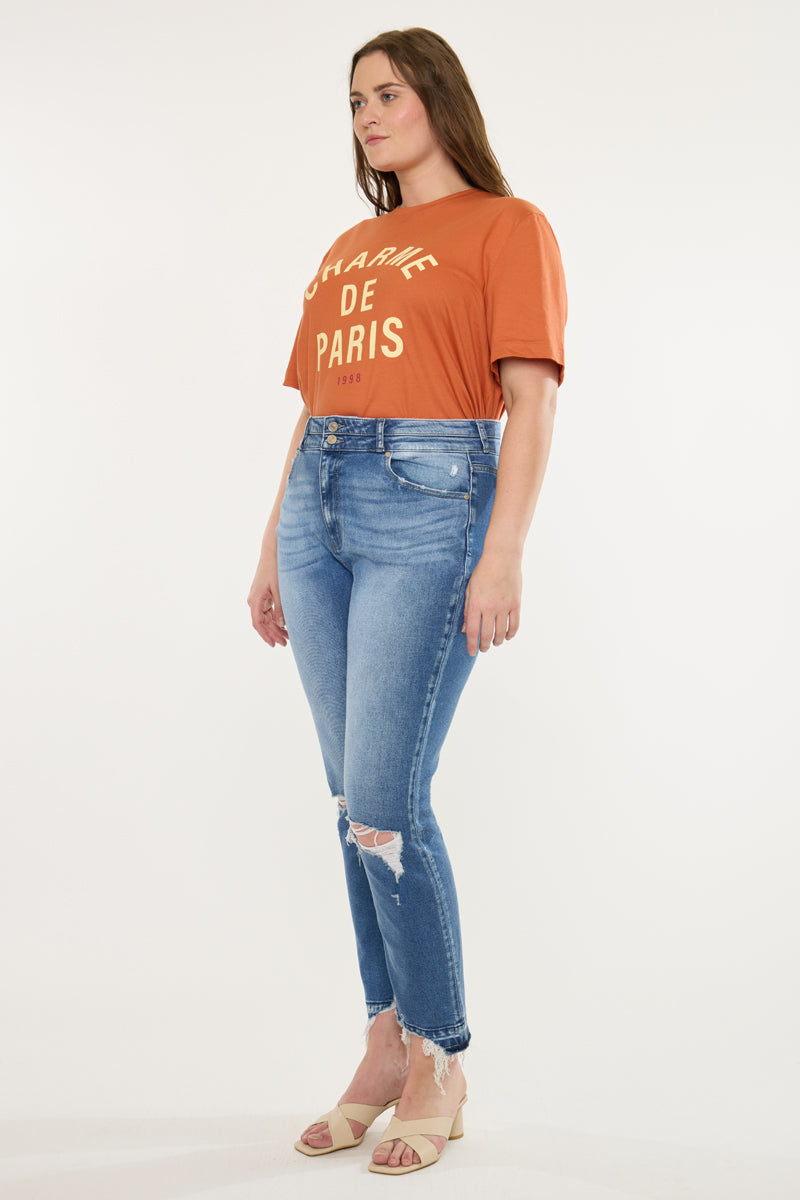 Damila High Rise Slim Straight Jeans (Plus Size)