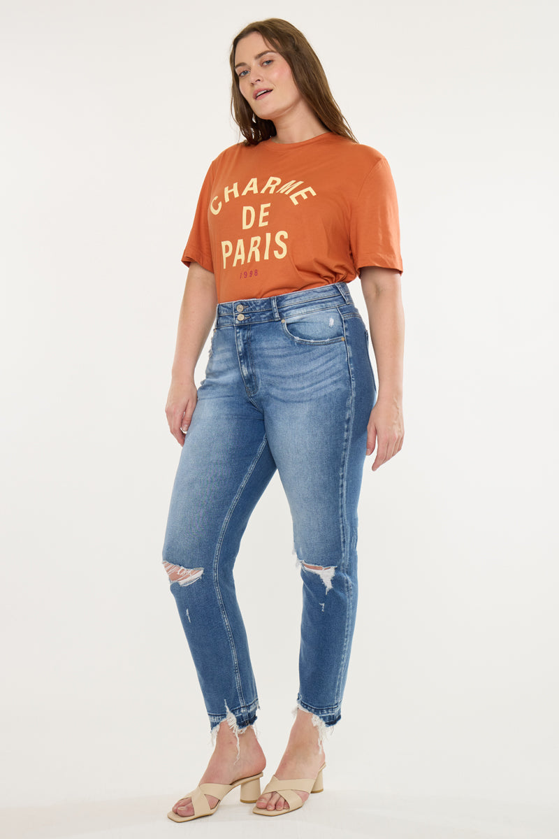 Damila High Rise Slim Straight Jeans (Plus Size)