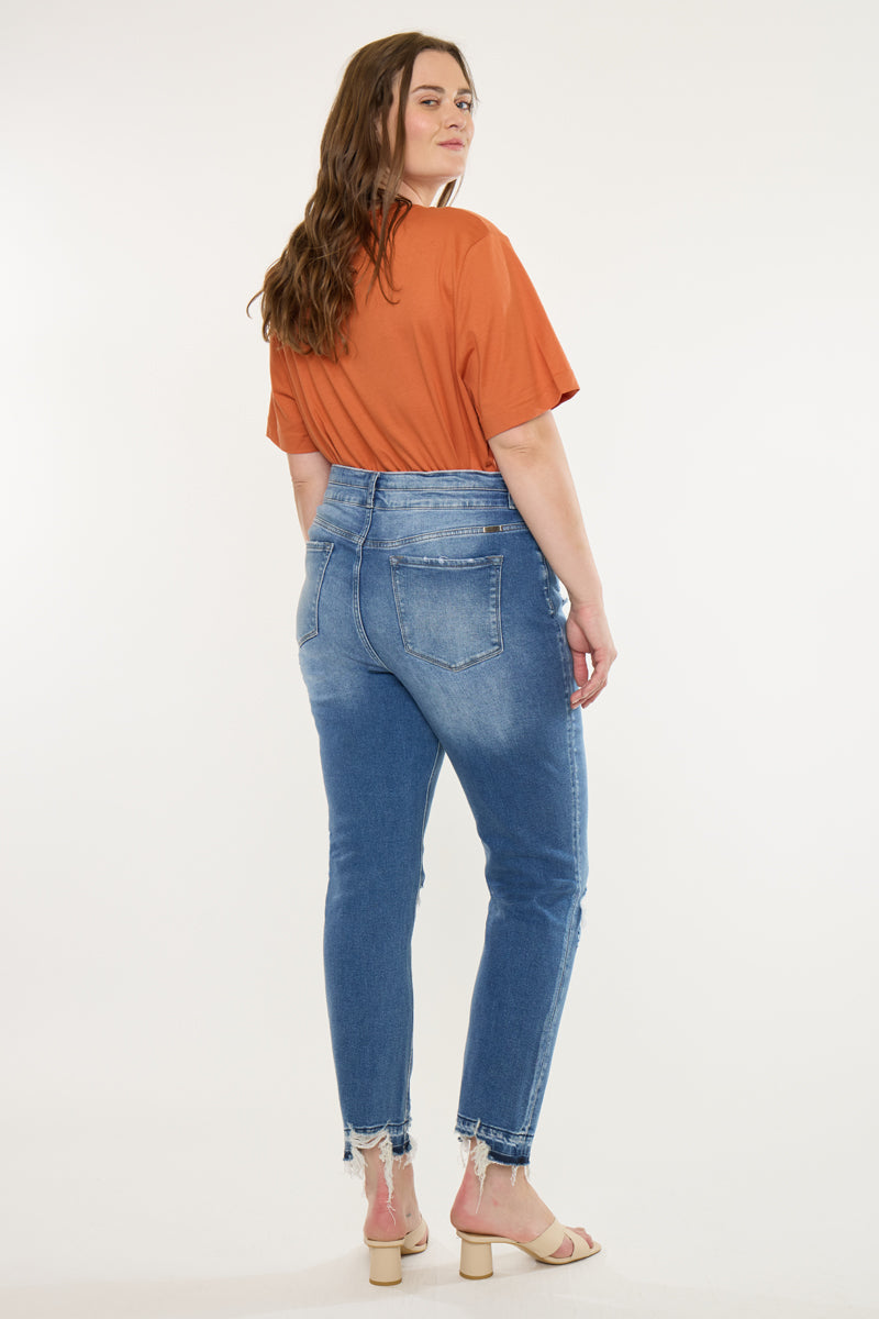 Damila High Rise Slim Straight Jeans (Plus Size)